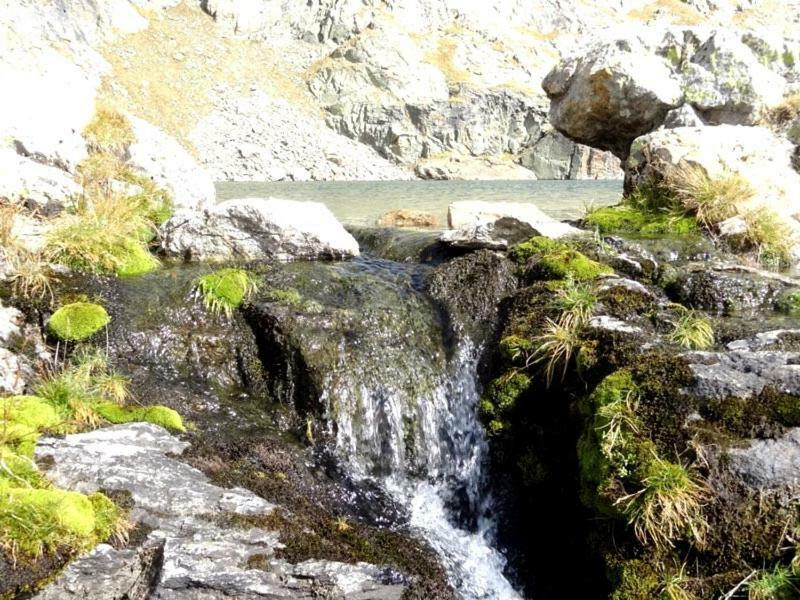 Saint-Étienne-de-TinéeBlaise 4 Piecesアパートメント エクステリア 写真